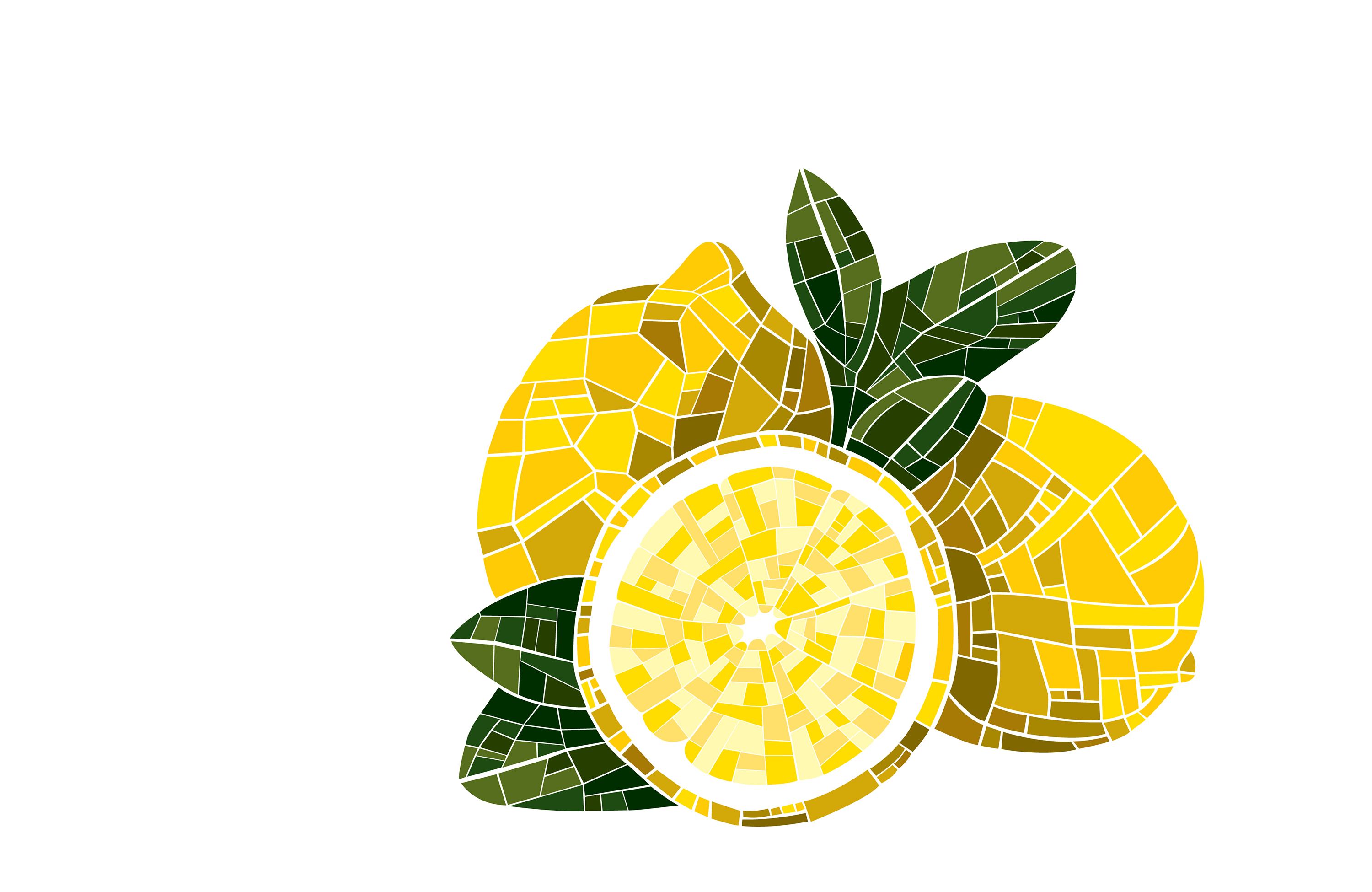 Lemons - Cover Photo