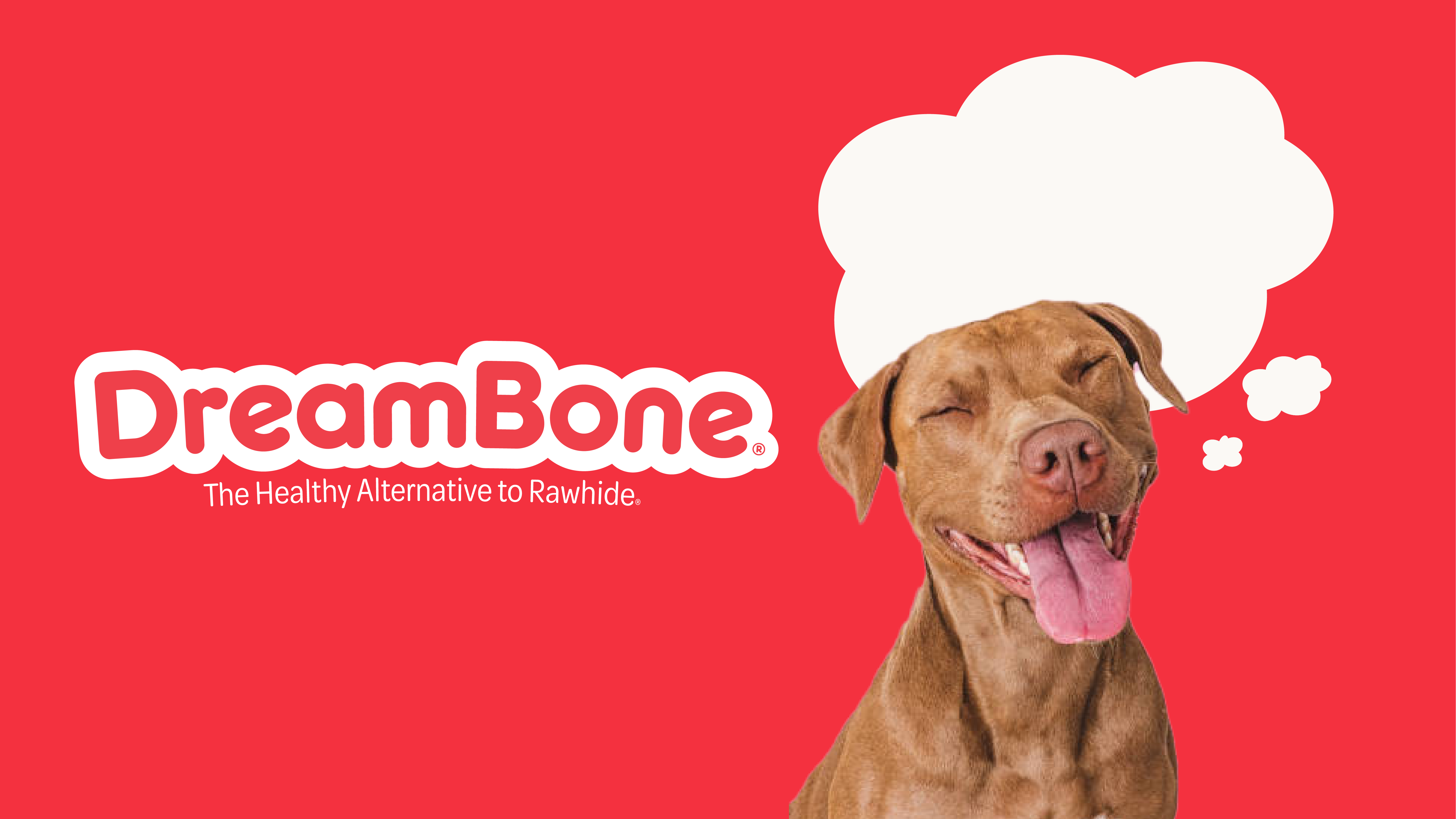DreamBone® - Cover Photo