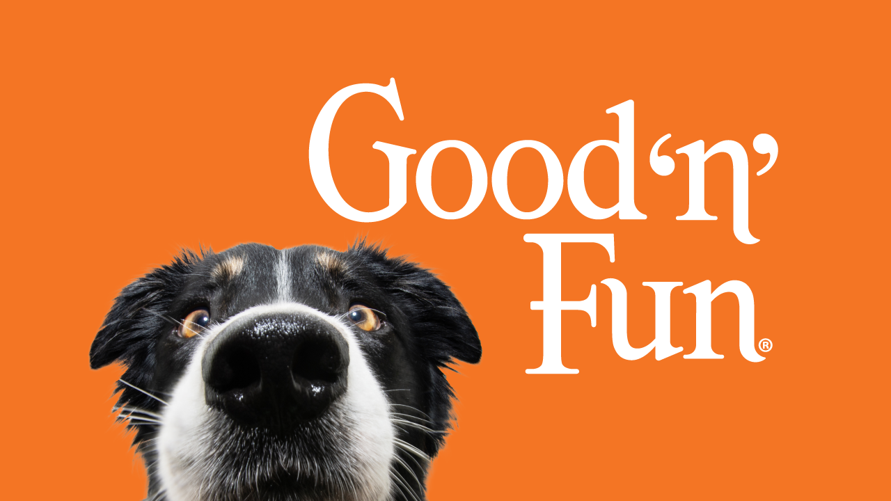 Good 'n' Fun - Cover Photo